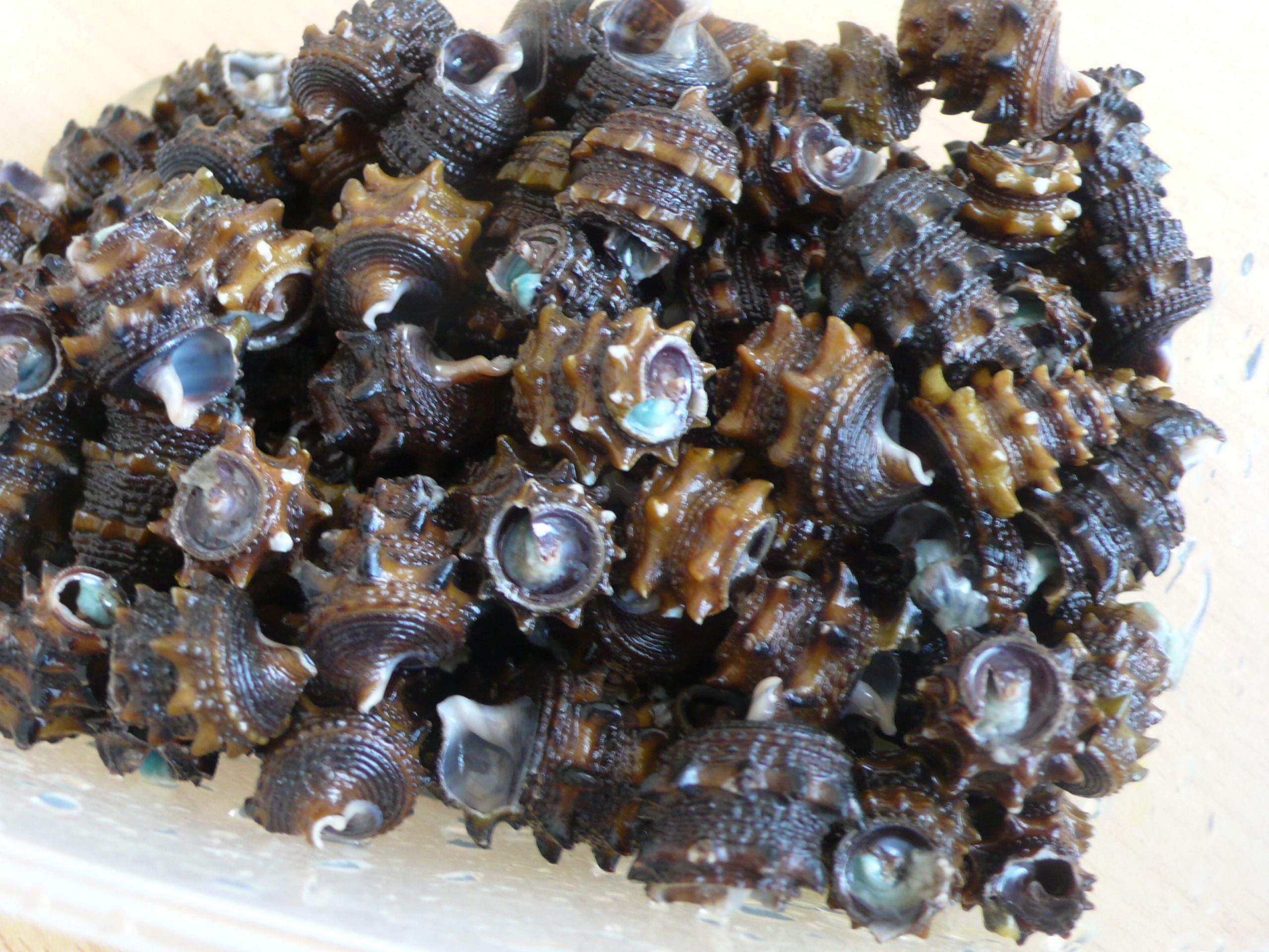Periwinkles