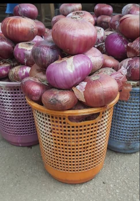 1 basket of Onions (Big Onions)
