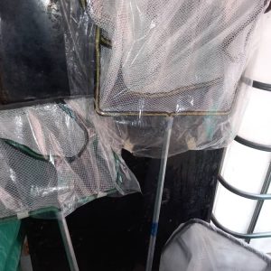 Scooping Net