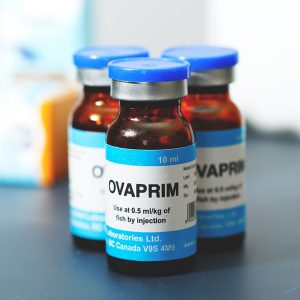 Ovaprim