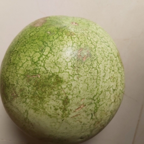 Water melon