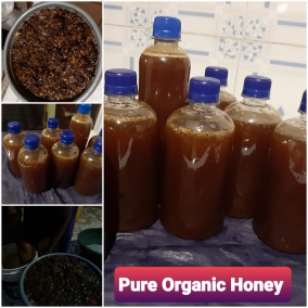 Pure Organic Raw Honey