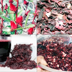 Zobo small