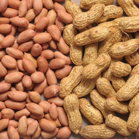 Groundnut