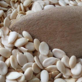 Egusi