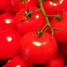 tomatoes-close-up