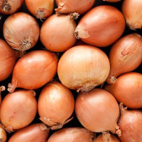Onions background